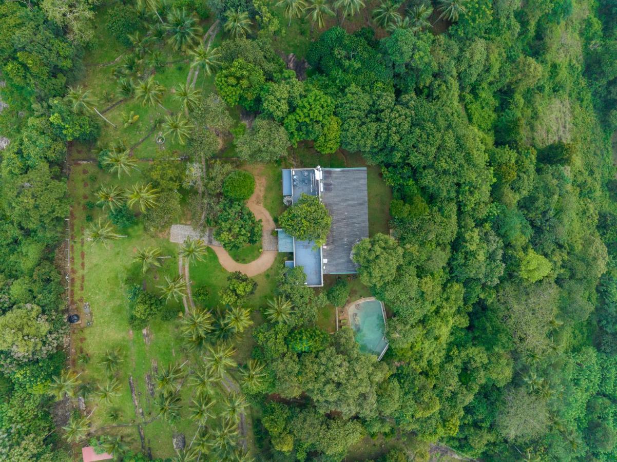 Birds Park Polgahawela Hotel Wadakada Ngoại thất bức ảnh